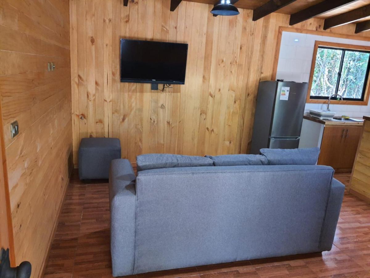 Cabana Familiar Apartamento Pucón